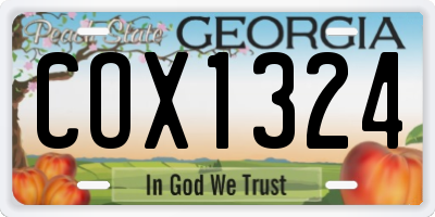 GA license plate COX1324