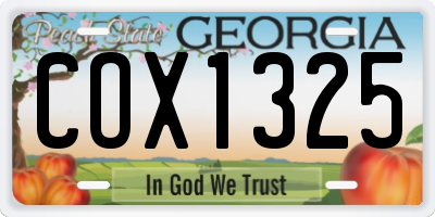 GA license plate COX1325