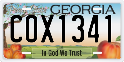 GA license plate COX1341