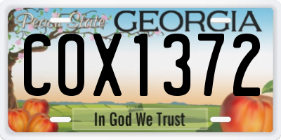 GA license plate COX1372