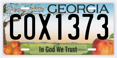 GA license plate COX1373