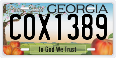 GA license plate COX1389