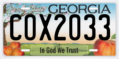 GA license plate COX2033