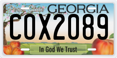 GA license plate COX2089