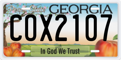 GA license plate COX2107