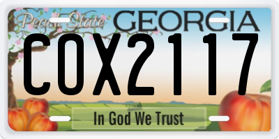 GA license plate COX2117