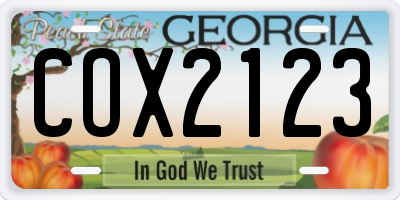 GA license plate COX2123
