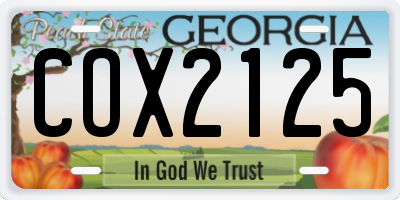 GA license plate COX2125