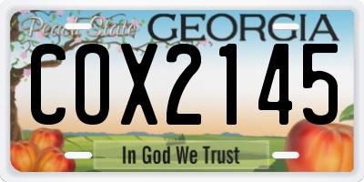 GA license plate COX2145