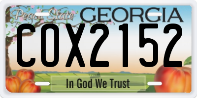 GA license plate COX2152