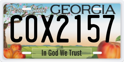 GA license plate COX2157