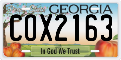 GA license plate COX2163