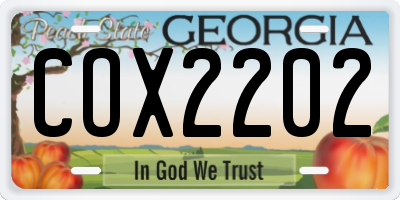 GA license plate COX2202