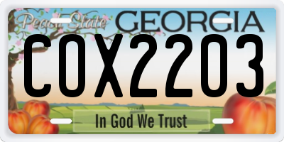 GA license plate COX2203