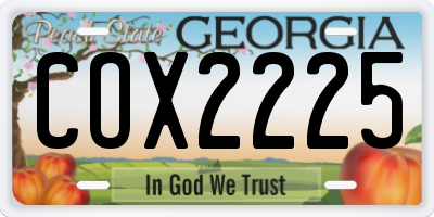 GA license plate COX2225