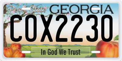 GA license plate COX2230