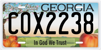 GA license plate COX2238