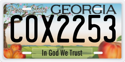 GA license plate COX2253