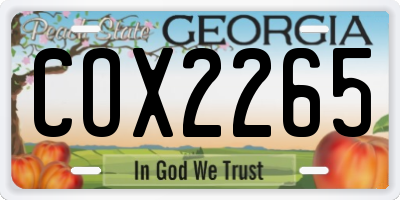 GA license plate COX2265
