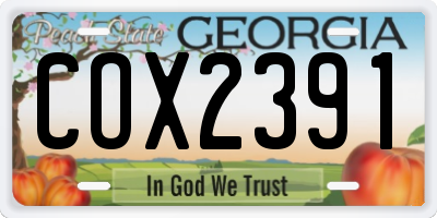 GA license plate COX2391