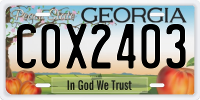 GA license plate COX2403