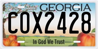 GA license plate COX2428