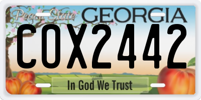 GA license plate COX2442