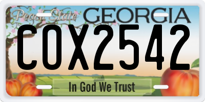 GA license plate COX2542