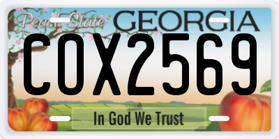 GA license plate COX2569