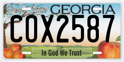 GA license plate COX2587
