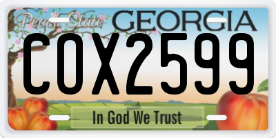 GA license plate COX2599