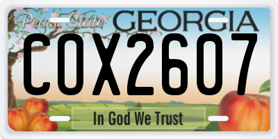 GA license plate COX2607