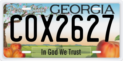 GA license plate COX2627