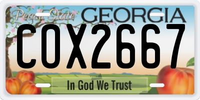 GA license plate COX2667