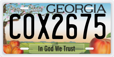 GA license plate COX2675