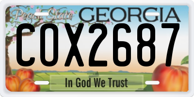GA license plate COX2687