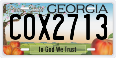 GA license plate COX2713