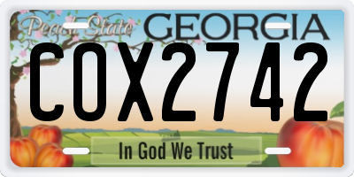 GA license plate COX2742