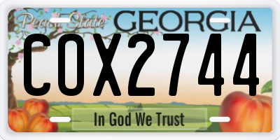 GA license plate COX2744