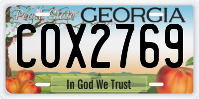 GA license plate COX2769