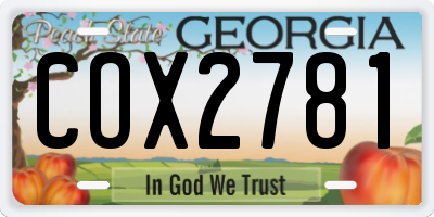 GA license plate COX2781