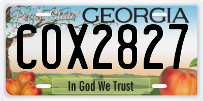GA license plate COX2827