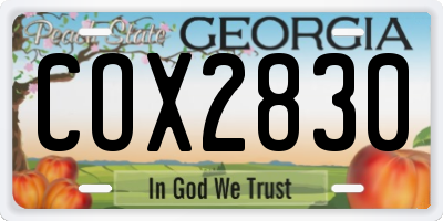 GA license plate COX2830