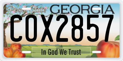 GA license plate COX2857
