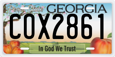 GA license plate COX2861