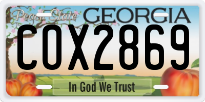 GA license plate COX2869