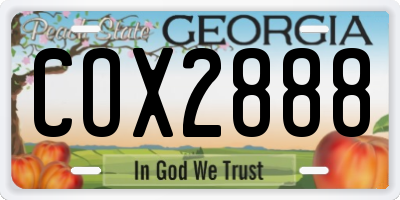 GA license plate COX2888