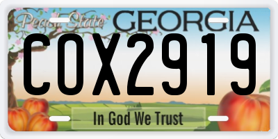 GA license plate COX2919