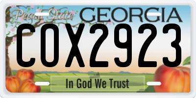 GA license plate COX2923