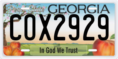 GA license plate COX2929